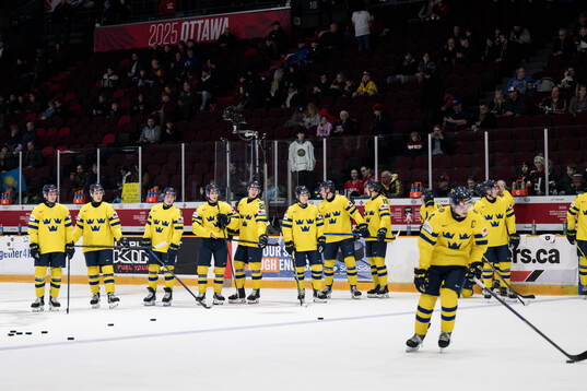 Players of Sweden