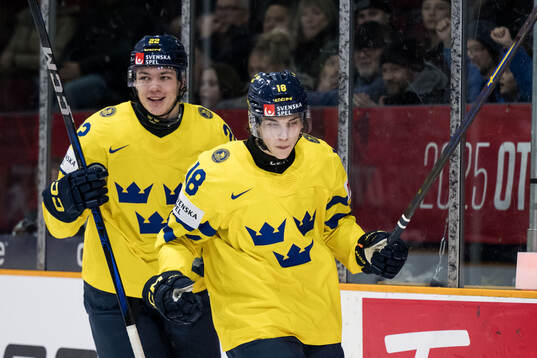 Anton Wahlberg and Victor Eklund of Sweden celebrate