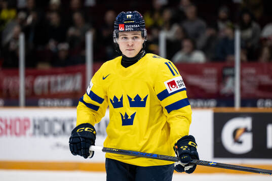 Zeb Forsfjäll of Sweden