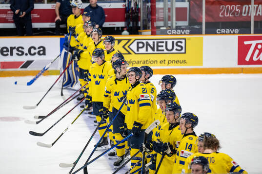 Players of Sweden