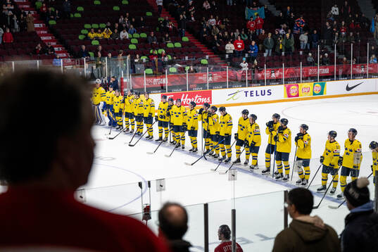 Players of Sweden