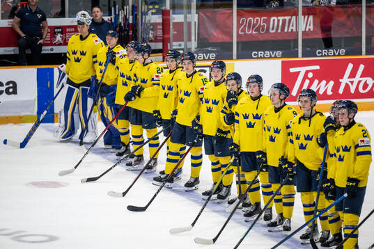 Players of Sweden