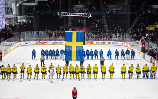 Players of Sweden
