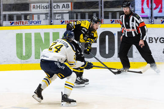 Västerås Erik Flood