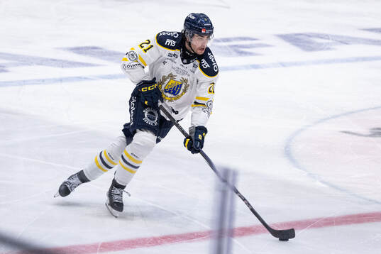 Södertäljes Nolan Stevens