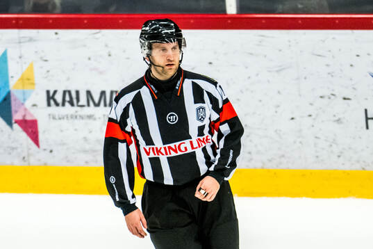 Domare Niklas Johansson