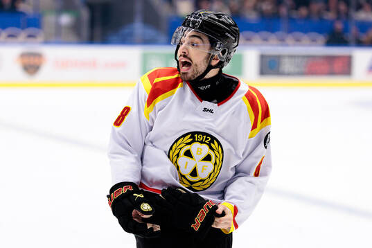 Brynäs Bobby Trivigno är irriterad