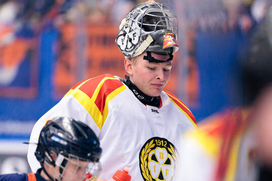 Brynäs målvakt Ludvig Persson
