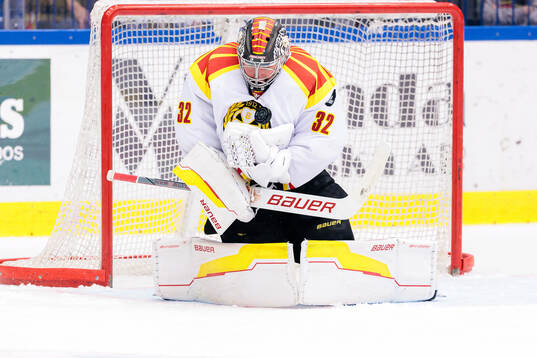 Brynäs målvakt Ludvig Persson
