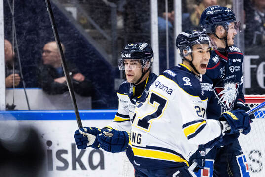 HV71s Radan Lenc jublar