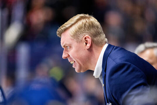 HV71s tränare Anton Blomqvist