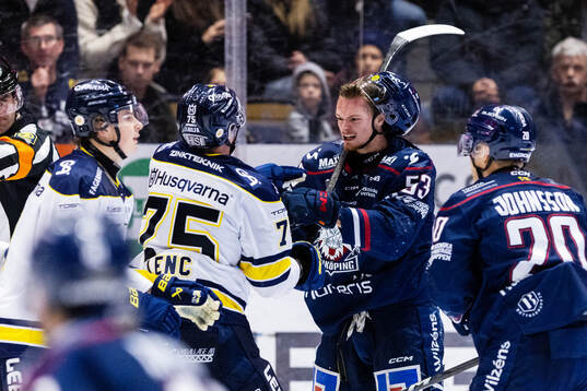 HV71s Radan Lenc och Linköpings Adam Hofbauer
