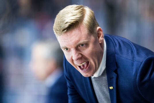 HV71s tränare Anton Blomqvist