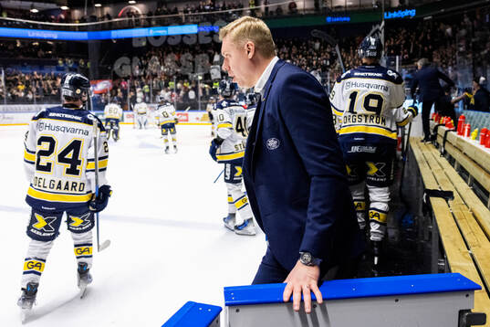 HV71s tränare Anton Blomqvist
