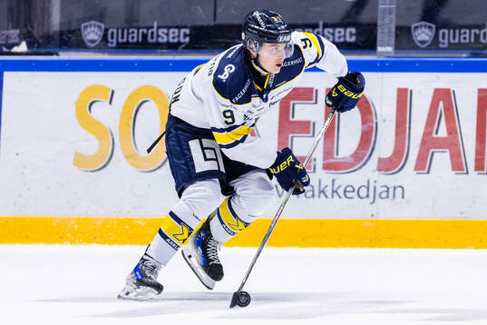 HV71s Hugo Pettersson