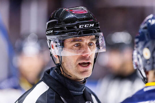 Domare Richard Magnusson