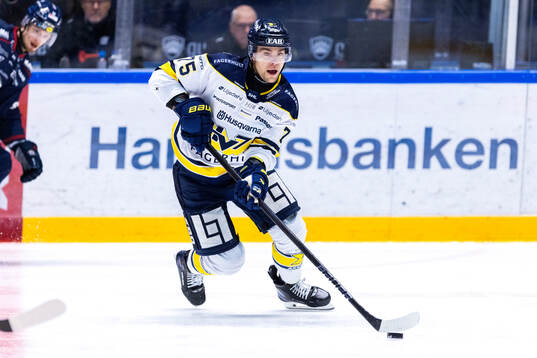 HV71s Radan Lenc