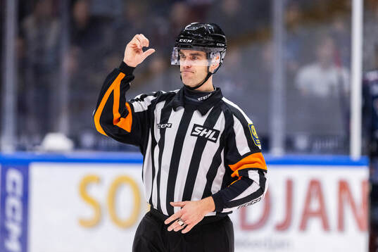Domare Richard Magnusson