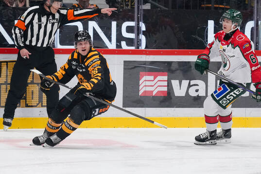 Skellefteås Anton Heikkinen jublar