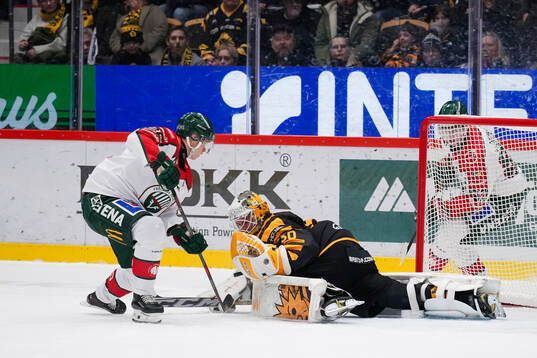 Skellefteås målvakt Gustaf Lindvall