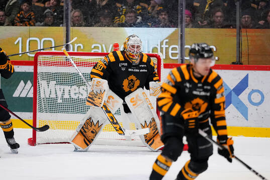 Skellefteås målvakt Gustaf Lindvall
