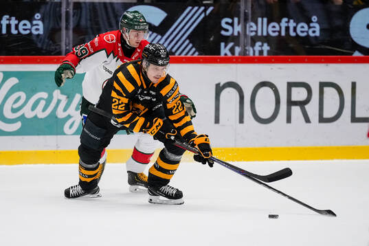 Frölundas Mikael Ruohomaa och Skellefteås Jonathan Johnson