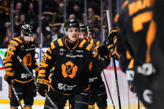 Bläddra bland fler bilder av Ishockey, SHL, Skellefteå - Frölunda