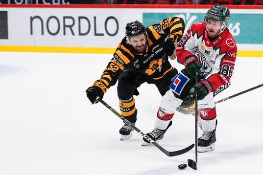 Skellefteås Arvid Lundberg och Frölundas Erik Thorell