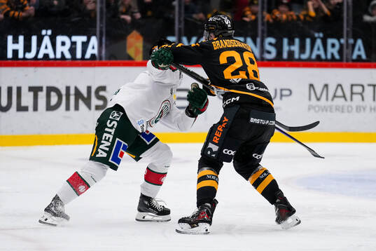 Skellefteås Michael Brandsegg-Nygård