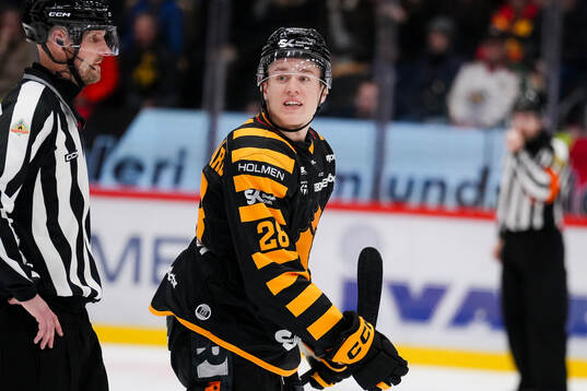 Skellefteås Michael Brandsegg-Nygård