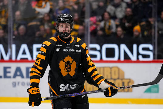 Skellefteås Zeb Lindgren