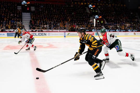 Skellefteås Frans Haara