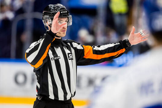Domare Filip Eriksson