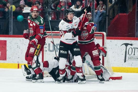 Malmö Redhawks Robin Salo