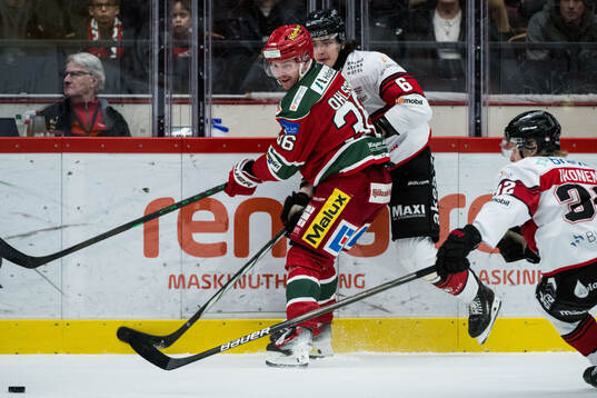 Modos Sebastian Ohlsson och Malmö Redhawks Dominik Badinka