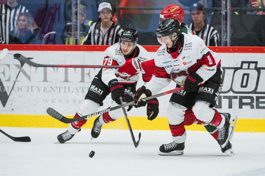Malmö Redhawks Jakub Galvas
