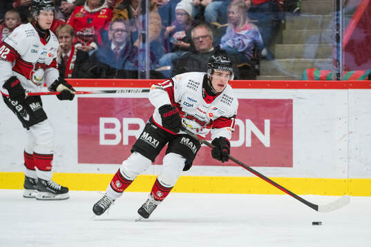 Malmö Redhawks Nikola Pasic