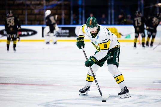 Björklövens Liam Dower Nilsson
