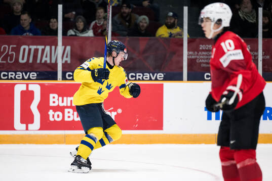 Otto Stenberg of Sweden celebrates