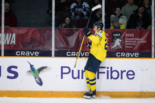 David Granberg of Sweden celebrates