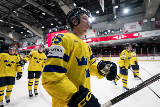 Otto Stenberg of Sweden celebrates