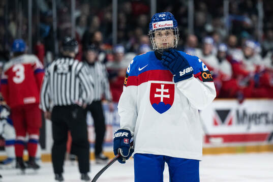Luka Radivojevic of Slovakia looks dejected