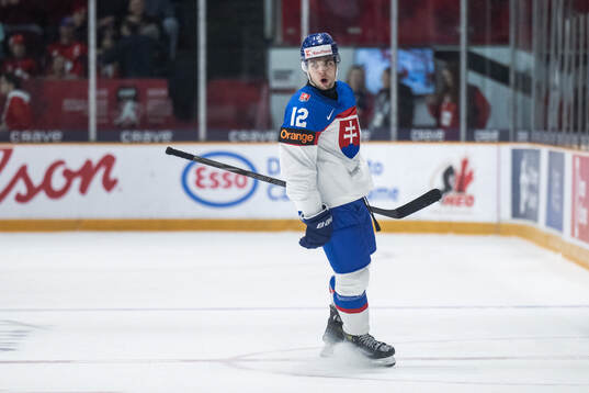 Peter Cisar of Slovakia celebrates