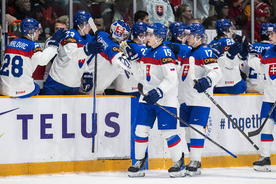 Dalibor Dvorsky of Slovakia celebrates