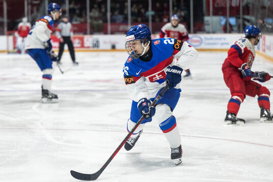 Luka Radivojevic of Slovakia