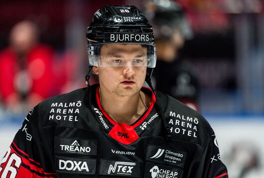 Malmö Redhawks Teemu Kivihalme