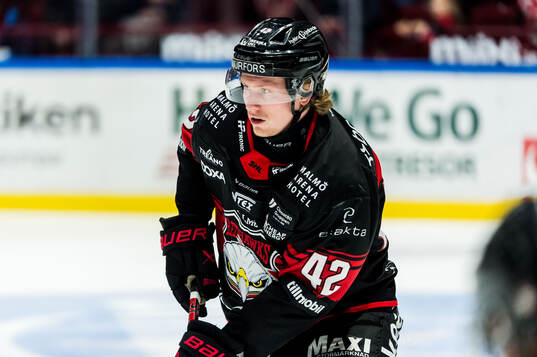 Malmö Redhawks Robin Salo