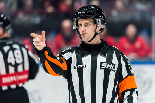 Domare Stefan Leijonklo