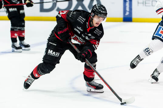 Malmö Redhawks Nikola Pasic