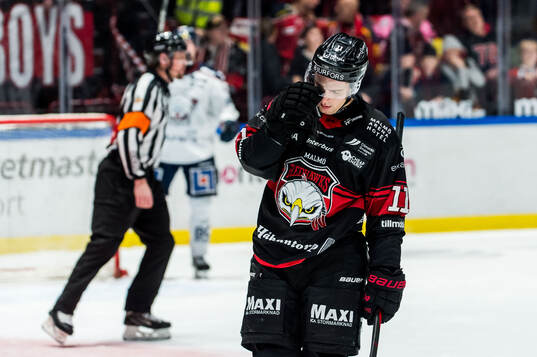 Malmö Redhawks Nikola Pasic deppar
